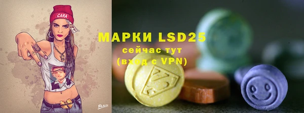 хмурый Алексин
