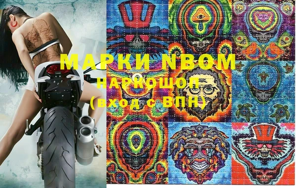 хмурый Алексин