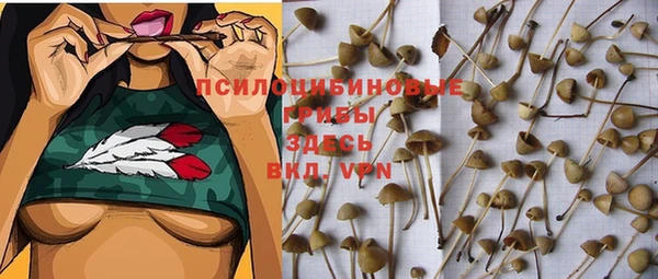 хмурый Алексин