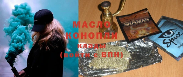 хмурый Алексин