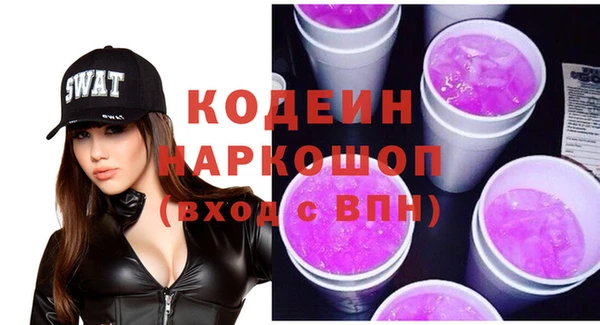 хмурый Алексин