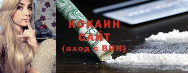 хмурый Алексин