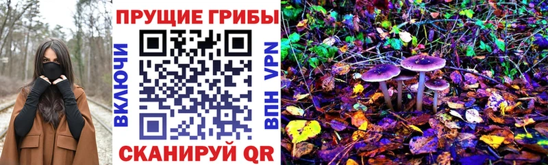 Псилоцибиновые грибы ЛСД  Тара 