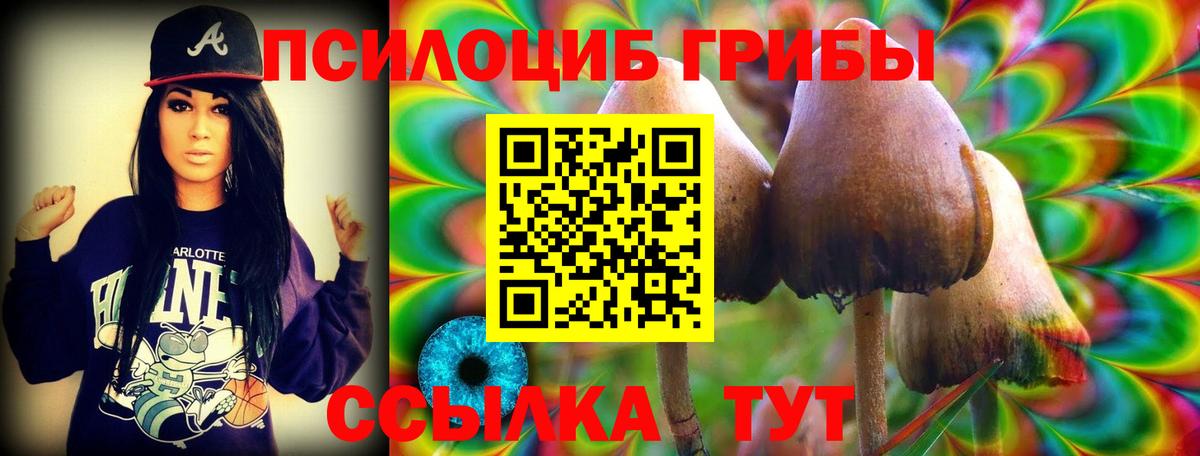 Галлюциногенные грибы мицелий Тара